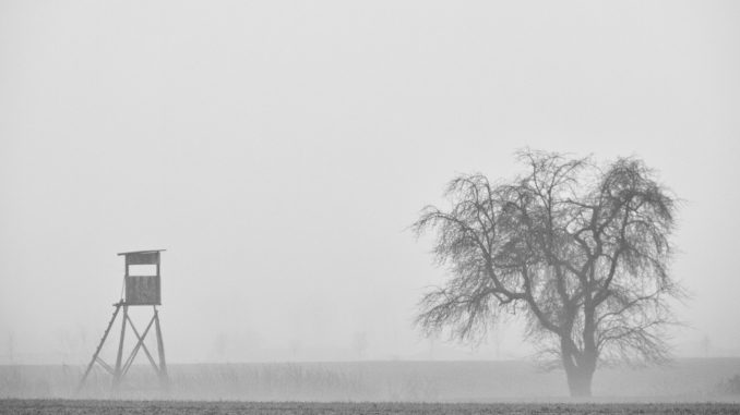 Morgenstimmung in schwarz-weiß