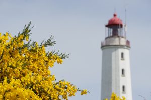 Fototour - Hiddensee @ Vitte-Hiddensee